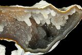 Agatized Fossil Coral With Sparkly Quartz - Florida #187988-2